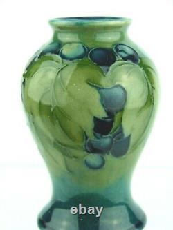 A Rare Wm Moorcroft Leaf & Berry on Celadon Baluster Vase. C1930