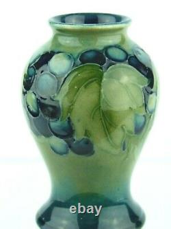 A Rare Wm Moorcroft Leaf & Berry on Celadon Baluster Vase. C1930