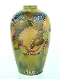 A Rare Wm Moorcroft for Liberty & Co Pomegranate on Ochre Pattern Vase