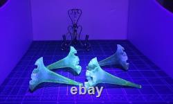 A+ Vintage Art Nouveau Epergne With 4 Vaseline Twisted Glass Flutes opalesent