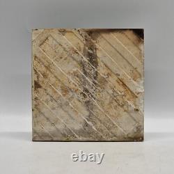 Art Nouveau Majolica Tile Green Triple Tulips Henry Richards Tile Co C1905 AE6