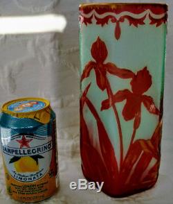 DAUM Rare Cameo Acid Etched Glass Sherbet Green Cranberry Iris's Gold Gilt