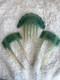Edwardian Art Nouveau Green Celluloid Hair Set C. 1900-1915 X 3 Matching Pieces