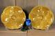 French Antique Pair Majolica Oyster Plate 6 Wells Gien Seafood Art Nouveau Green
