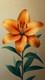Orange Green And Lily Art Nouveau Style Canvas Art Picture Or Gloss Print