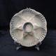 Rare French Antique Oyster Plate Sarreguemines Majolica Light Green And Blue
