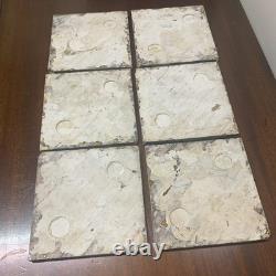 Set Of 6 Antique Art Nouveau Majolica Fireplace Tiles- Brown & Green