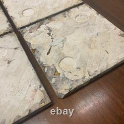 Set Of 6 Antique Art Nouveau Majolica Fireplace Tiles- Brown & Green