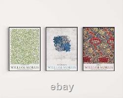 Set of 3 William Morris Prints GREEN BLUE RED Museum Exhibition Art Nouveau Flow
