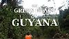 The Green Heart Of Guyana